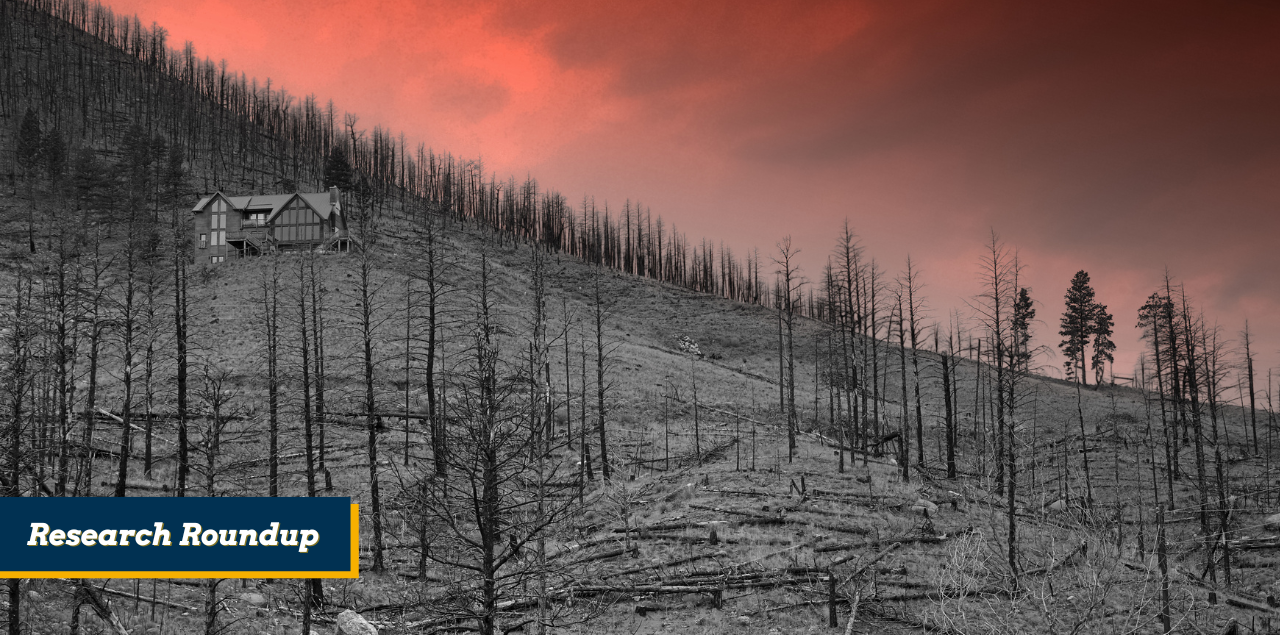 A mountainside that has been burned by wildfire, with bare trees and barren landscape.